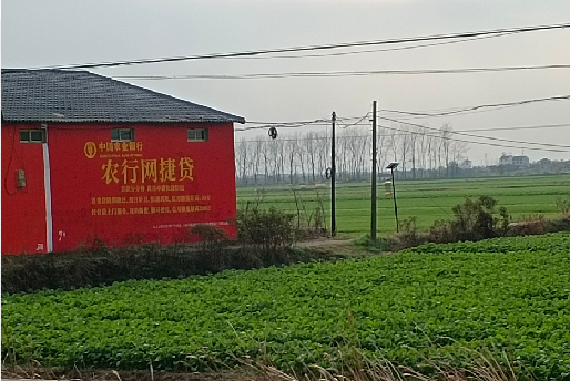 福州市如何防止墙体广告褪色呢？